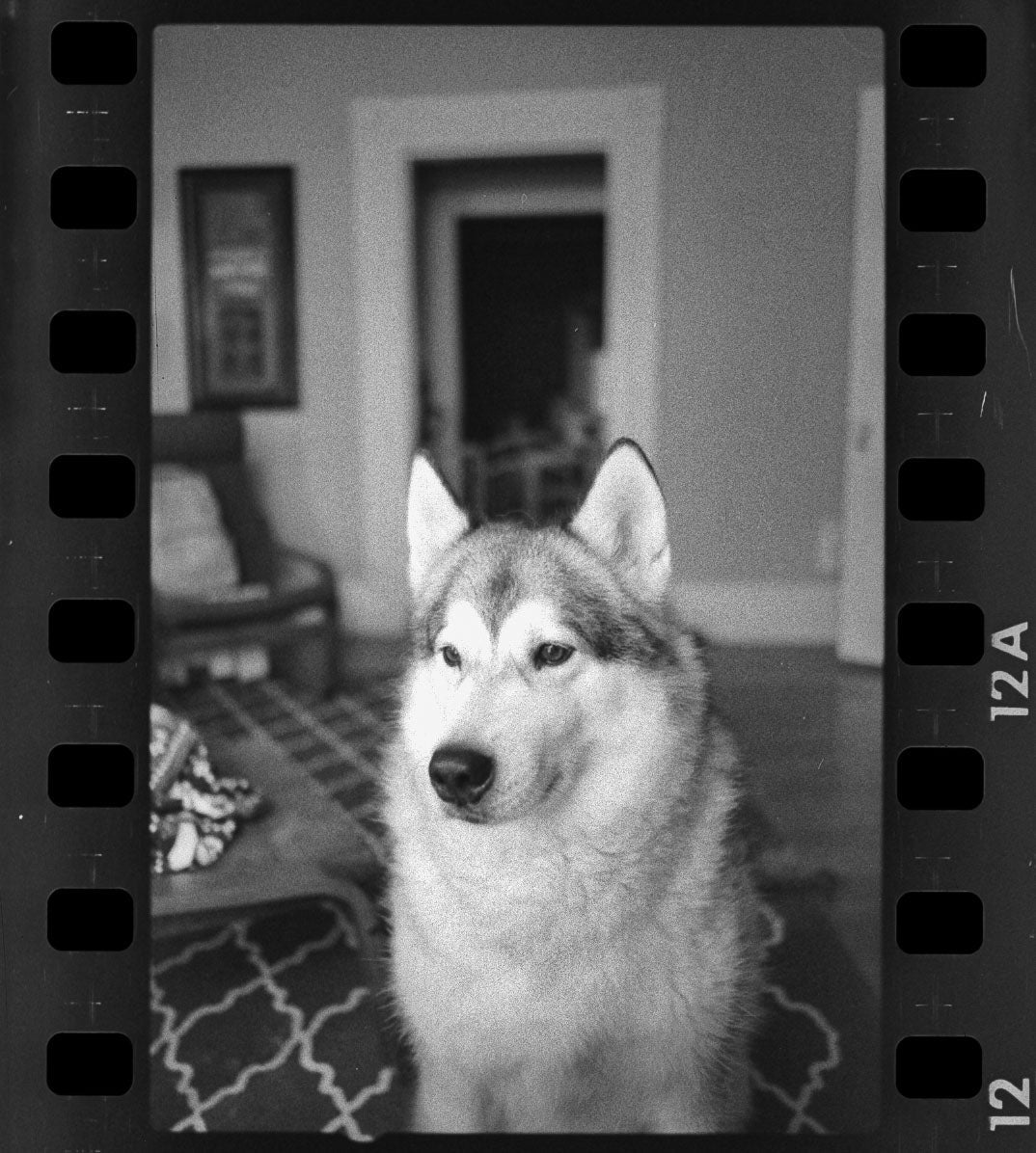 PUSH/PULL Developing Norwich Camera Company